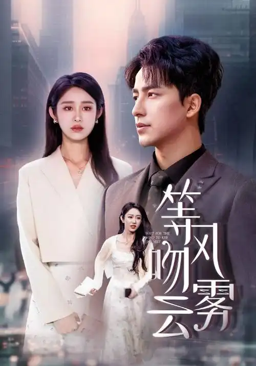 亚洲剧集长夜书海报
